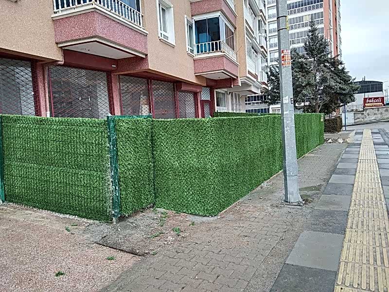 Blog Galerisi