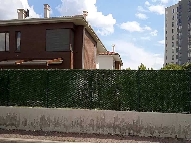 Blog Galerisi