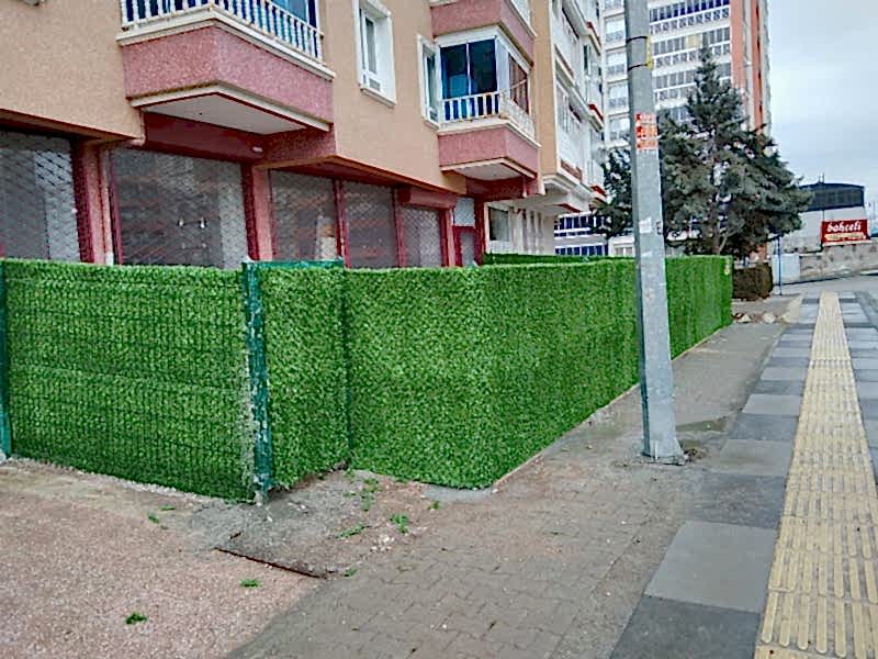 Blog Galerisi